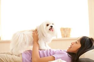 猫カフェねこみみの特徴と魅力とは