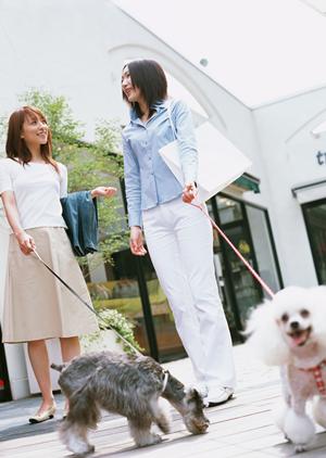 自然と調和した快適環境を提供する緑の森どうぶつ病院 豊岡病院の全貌